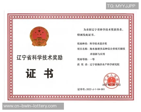 探索9VS55的潜力与应用前景助力科技创新与产业升级